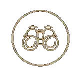 Surveillance Investigations in Israel 3 Surveillance